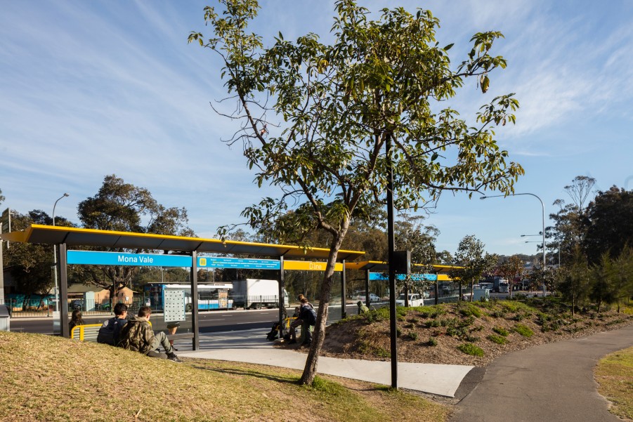 DesignInc Sydney - Northern Beaches Bus B-Line