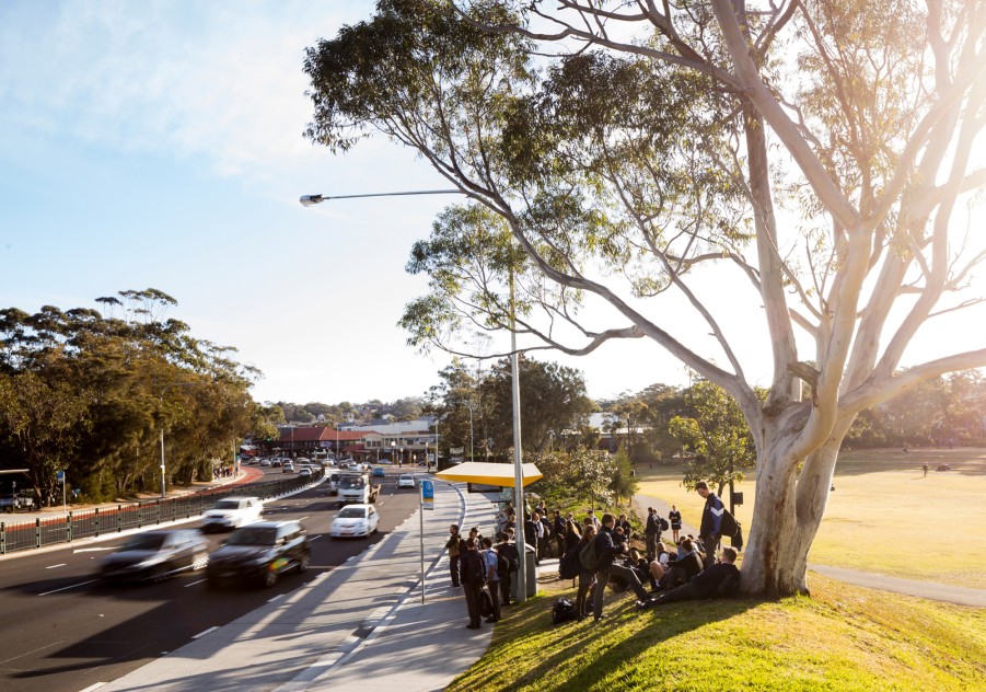 DesignInc Sydney - Northern Beaches Bus B-Line