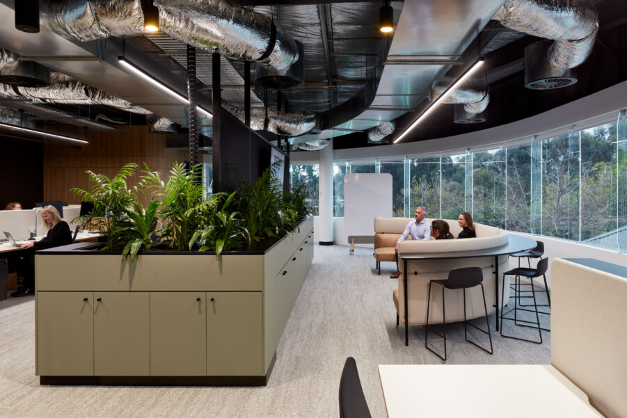 A pale green bank of storage creates a divider between a zoned open office and a semi-circular collaboration space. Black mesh screens and plants soften the space and absorb sound from each area. Screens are carefully integrated into the screening .The curved 'campfire' features pale natural leather and pinks. Black high chairs sit around a high bench that backs the seating. A group of staff sit in the seating and interact with another colleague on the screen. Curving glazing behind the office looks out to the Adelaide Parklands.