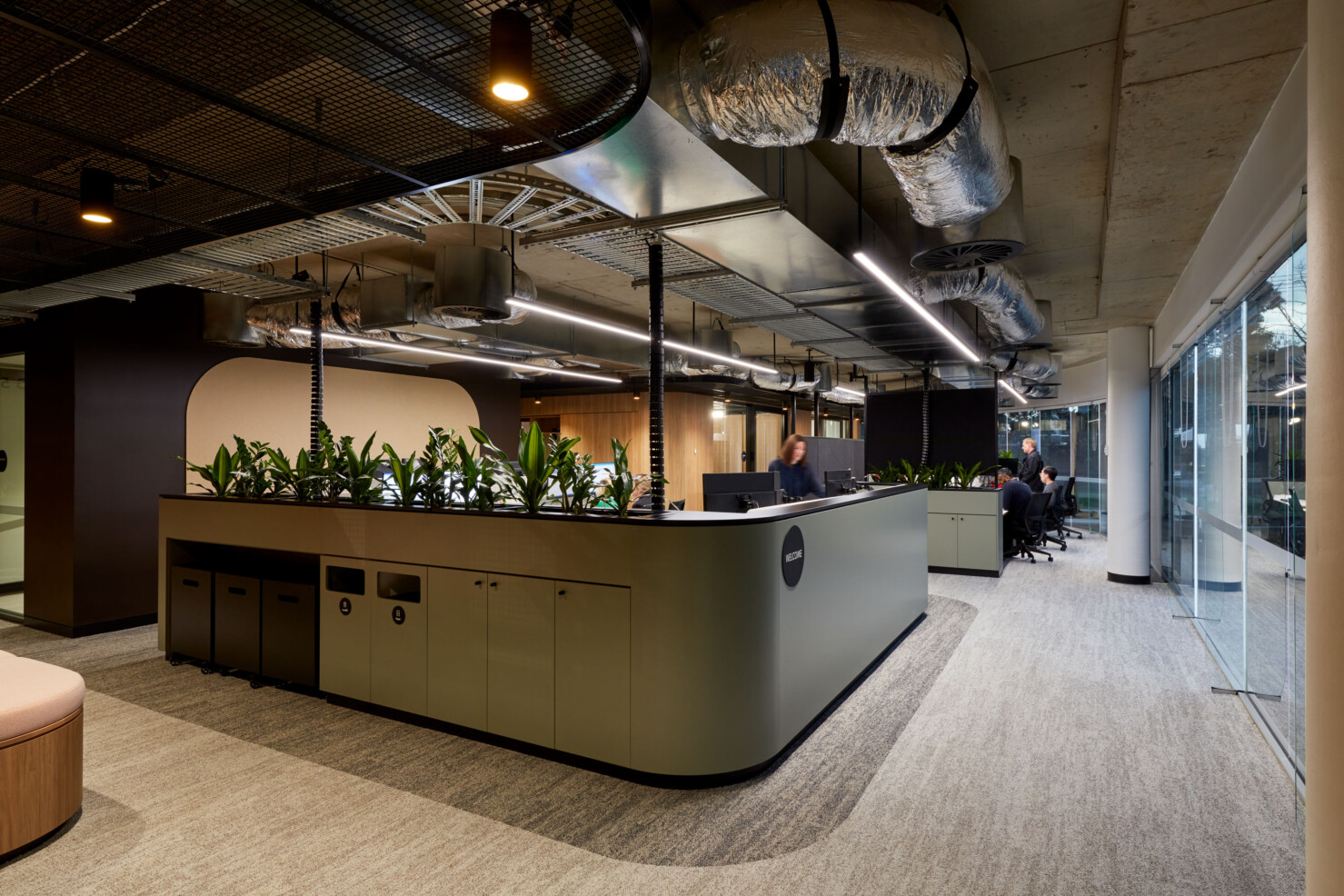 A curved reception counter leads into the open plan workspace. Full height windows wrap the building corner. Exposed ducting, black steel and concrete roof are softened by the pale sand tones and patterns of the carpet, the pale green timber joinery and planter boxes with oxygen purifying plants.