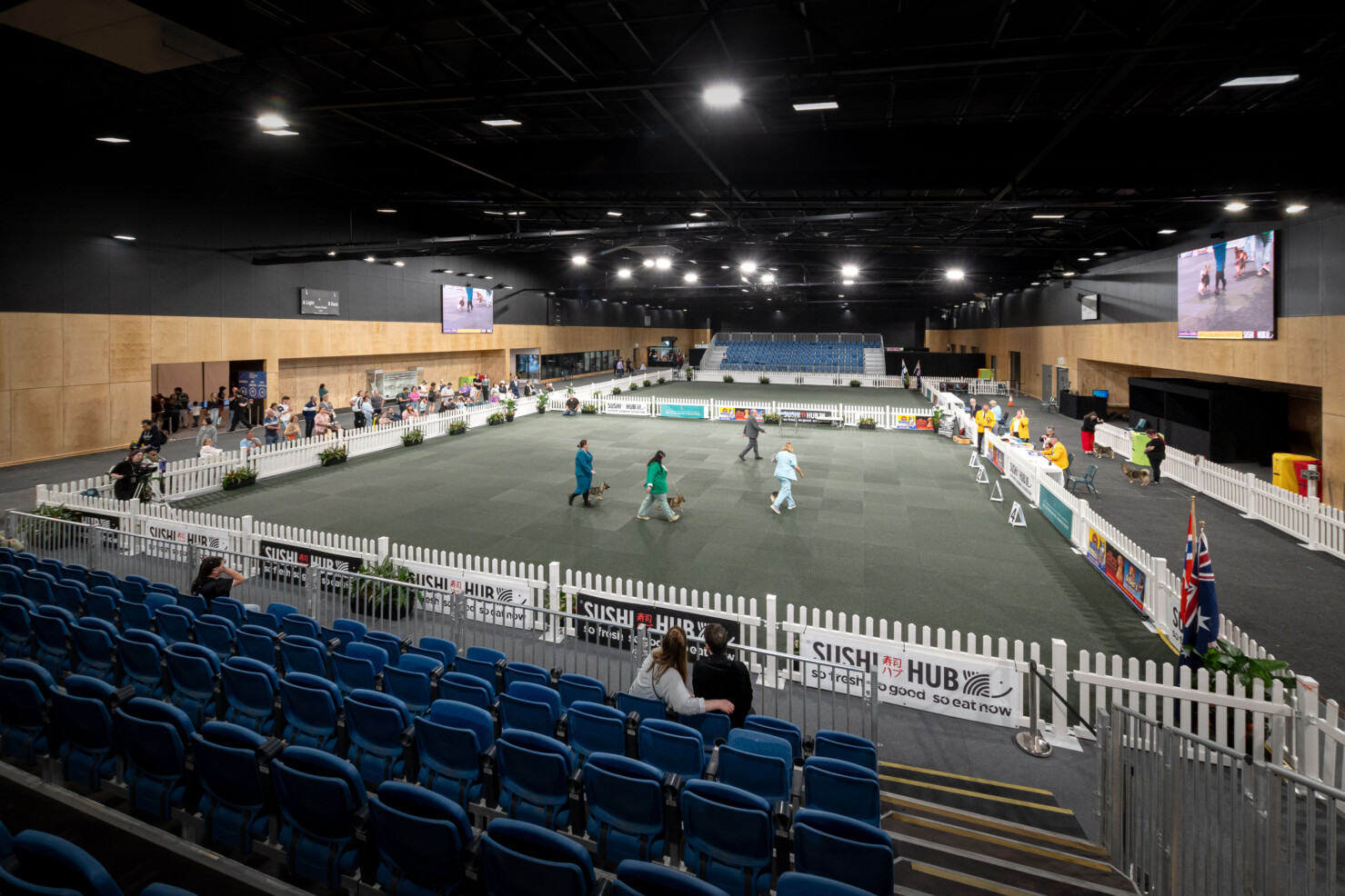 The courts are converted to host the Royal Adelaide Show Dog Competition. Spectators sit in blue tiered seating watching owners and dogs walking the arena. The maple flooring is covered with green synthetic turf and the arena is fenced in white pickets.
